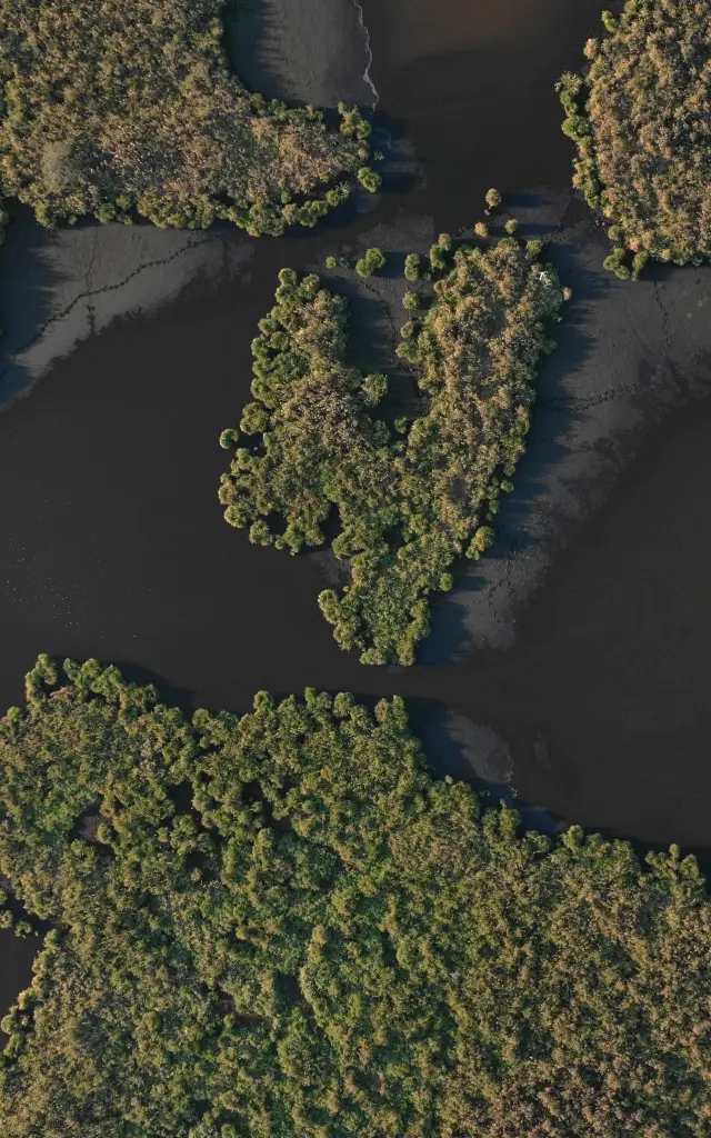 Luftaufnahme der Sümpfe von Brière