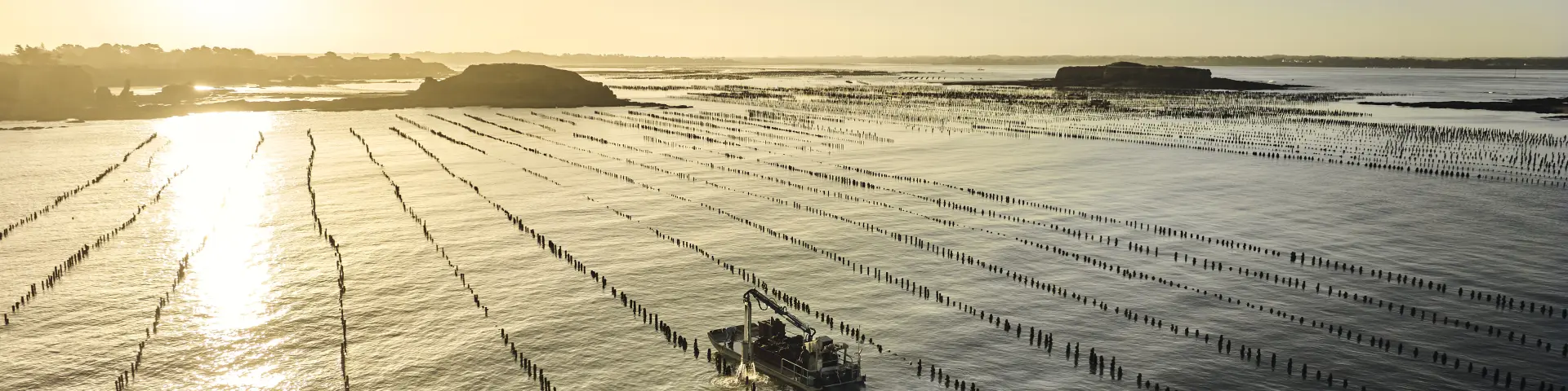 Pénestin - Pointe du Bile