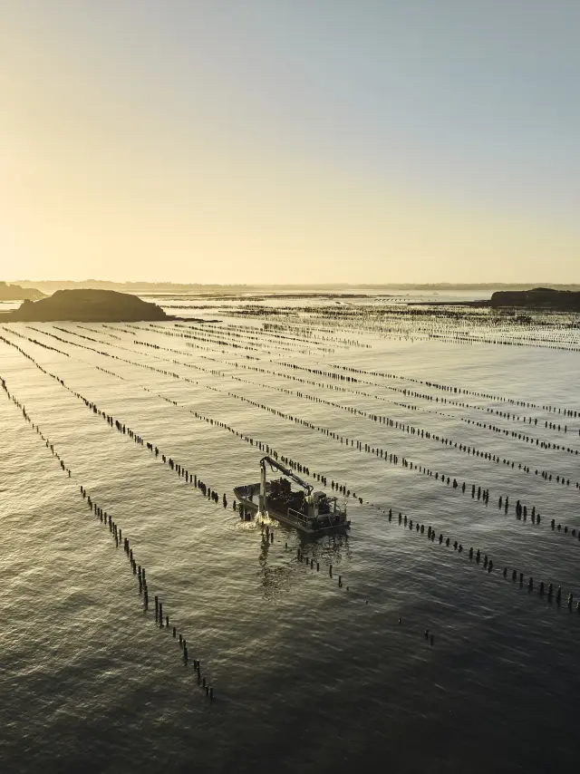 Pénestin - Pointe du Bile