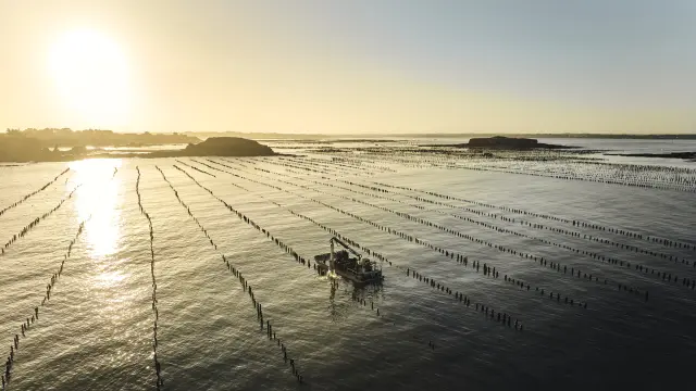 Pénestin - Pointe du Bile