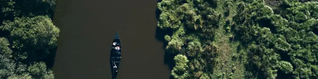 Balade en chaland, Marais de Brière - Saint-Lyphard