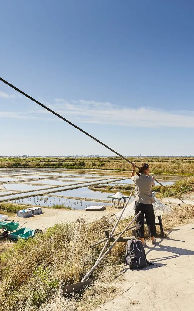 Guérande salt marshes - Visit