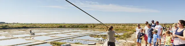 Guérande salt marshes - Visit