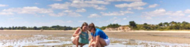 Asserac22@alamoureux Validite2032 D6a883528