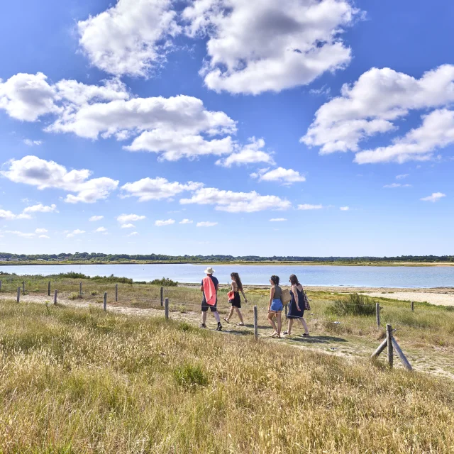 La Côté sauvage d'Assérac et ses sentiers côtiers