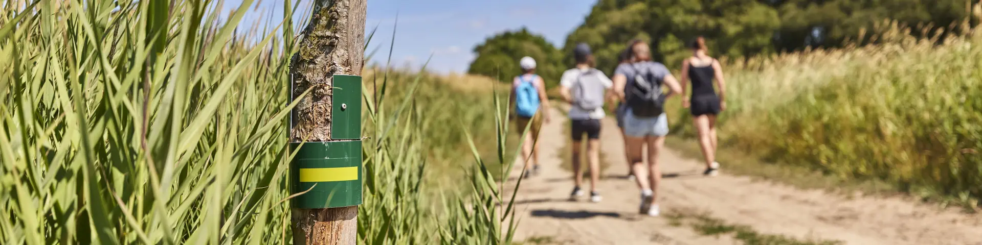 Randonnées à Assérac