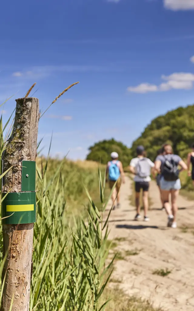 Randonnées à Assérac