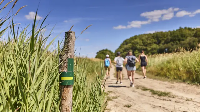 Randonnées à Assérac