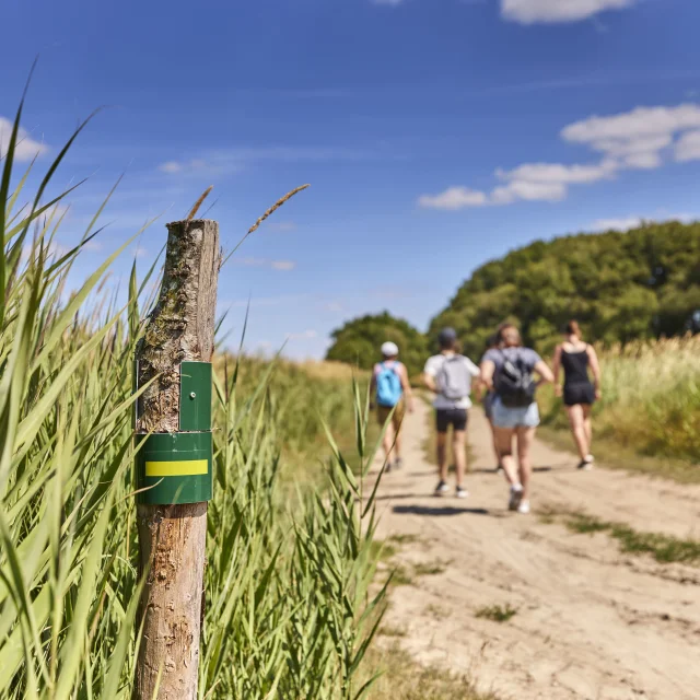 Randonnées à Assérac