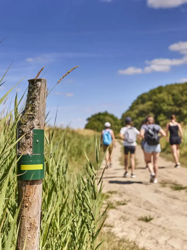 Randonnées à Assérac