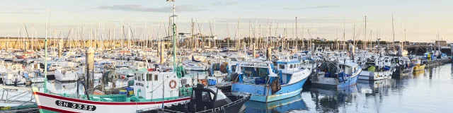 Le sardinier - La Turballe