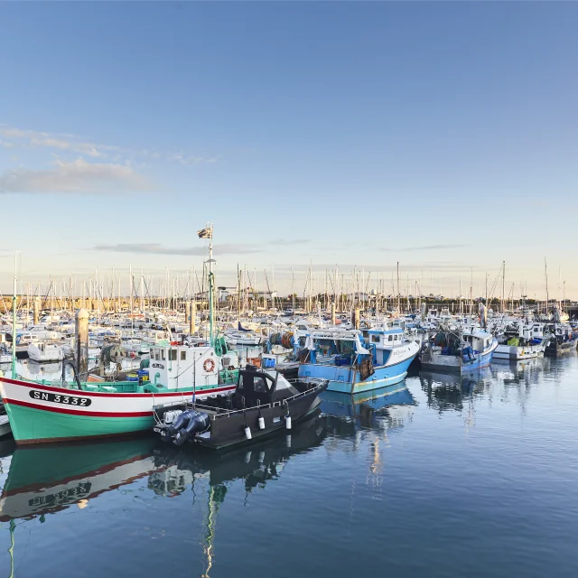 Le sardinier - La Turballe