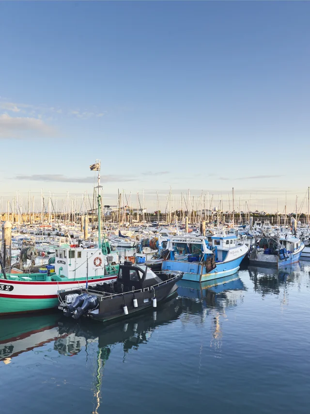 Le sardinier - La Turballe