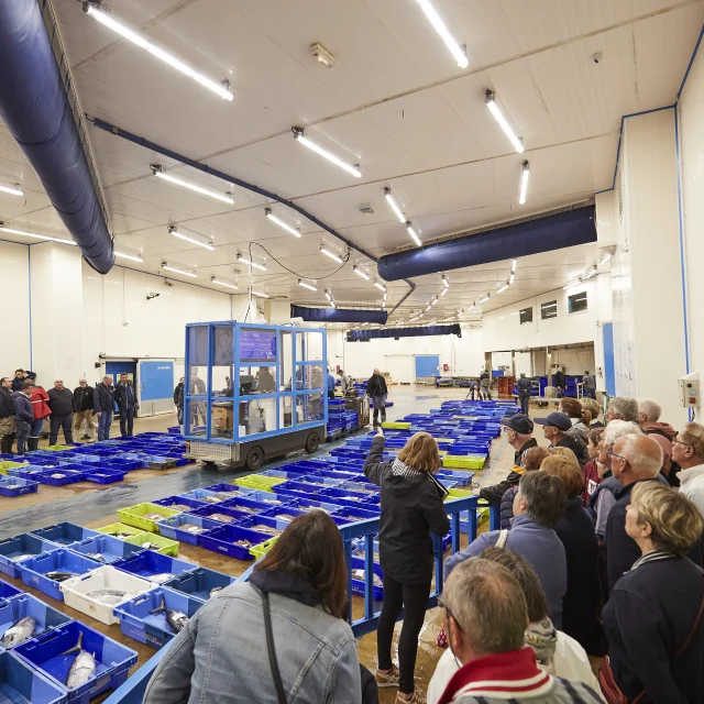 Produits locaux marins à la Criée de la Turballe