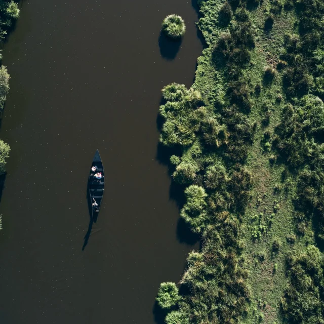 Balade en chaland, Marais de Brière - Saint-Lyphard