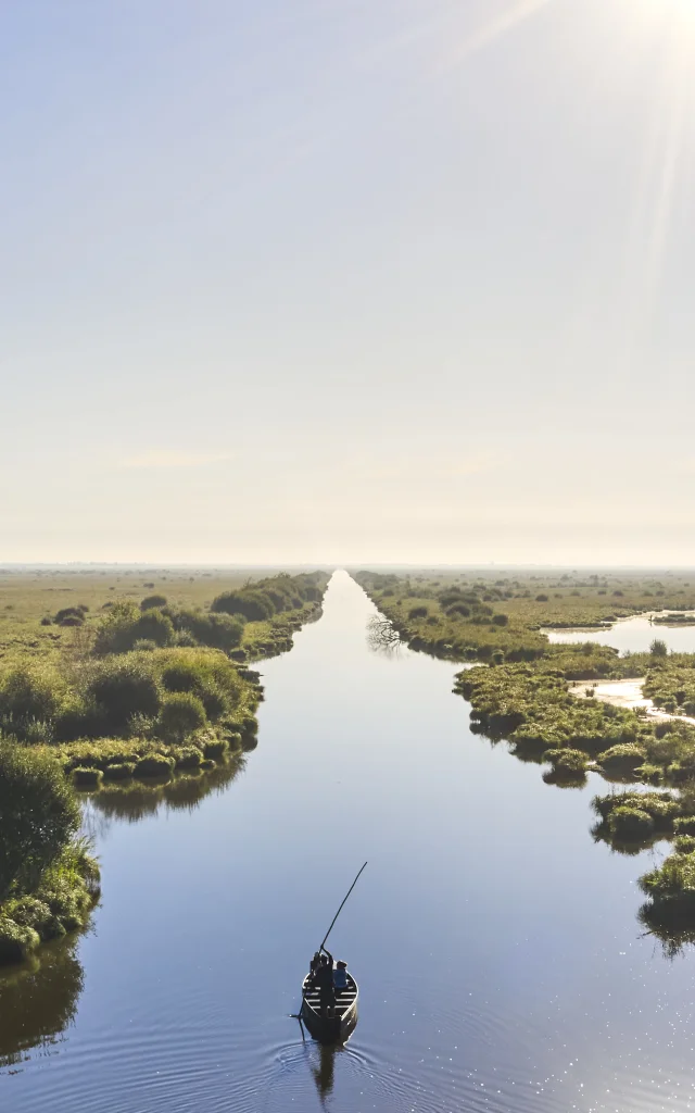 Parc naturel régional de Brière - Brière