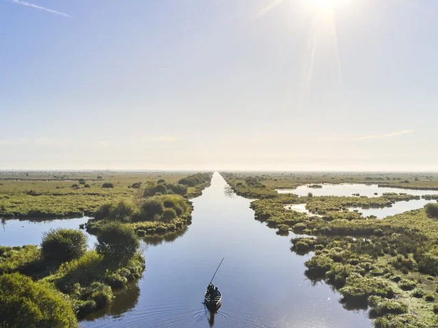 Parc naturel régional de Brière - Brière