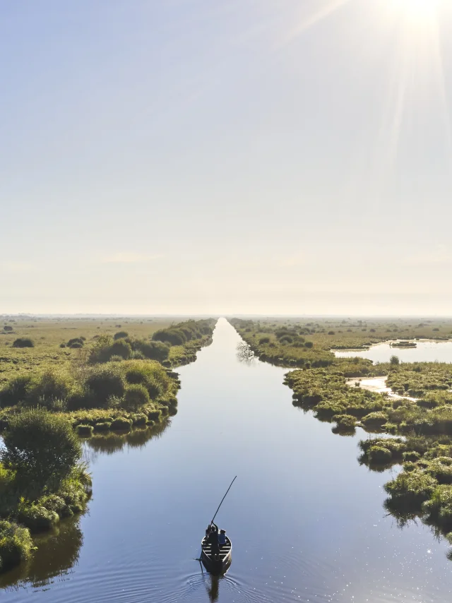Parc naturel régional de Brière - Brière