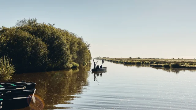 Balade en chaland au port de Bréca, Marais de Brière - Saint-Lyphard