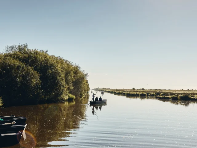 Balade en chaland au port de Bréca, Marais de Brière - Saint-Lyphard