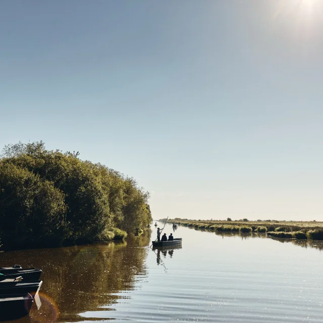 Balade en chaland au port de Bréca, Marais de Brière - Saint-Lyphard