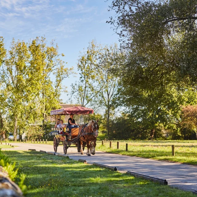 Balade en calèche au Port de Bréca - Saint-Lyphard