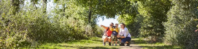 Balade dans le Parc naturel régional de Brière, en famille - Brière