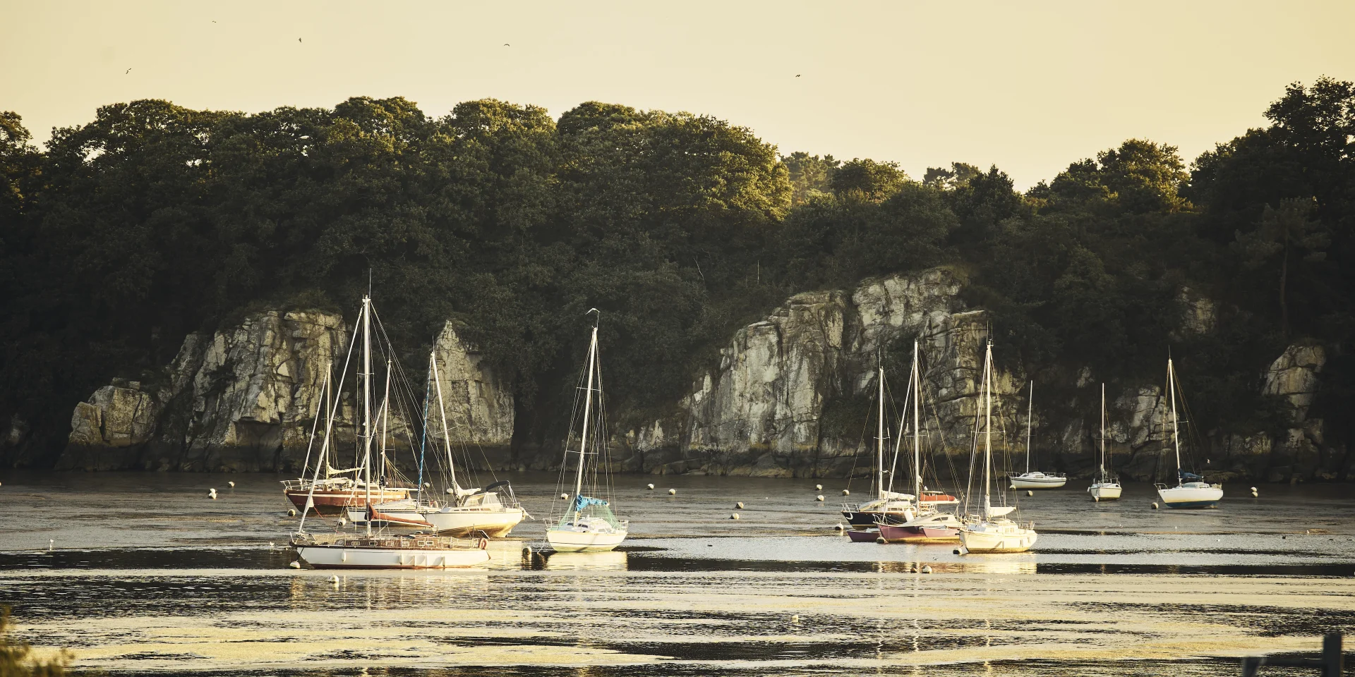 Rives de Vilaine - Camoël