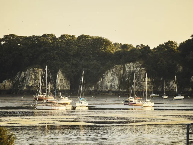 Rives de Vilaine - Camoël