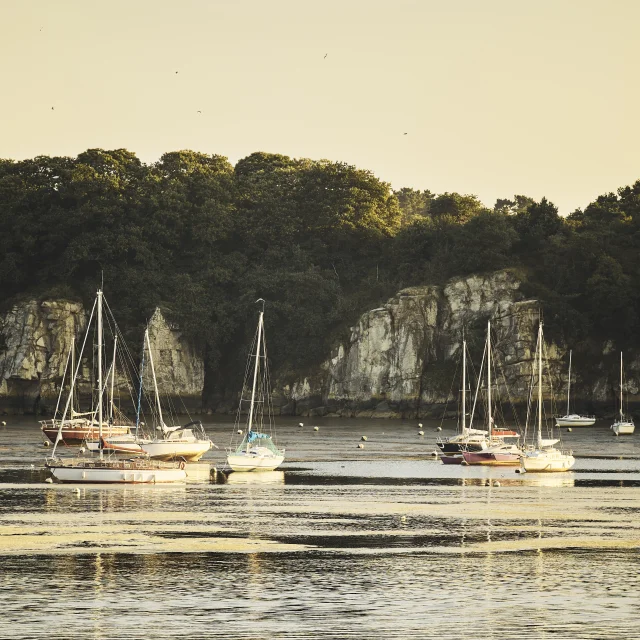 Rives de Vilaine - Camoël