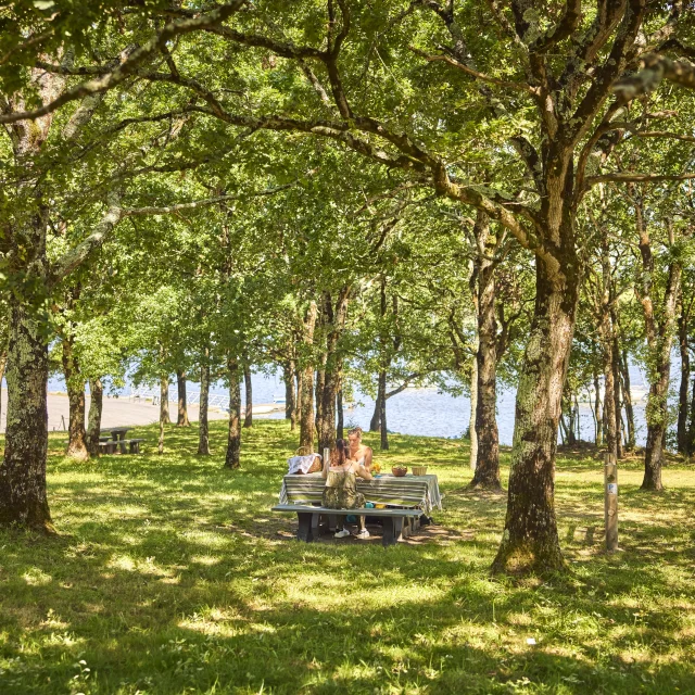 Camoël - La cale de la vieille Roche