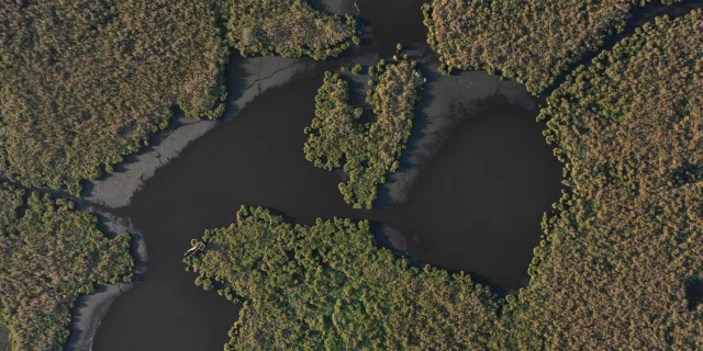 Vue aérienne des marais de Brière