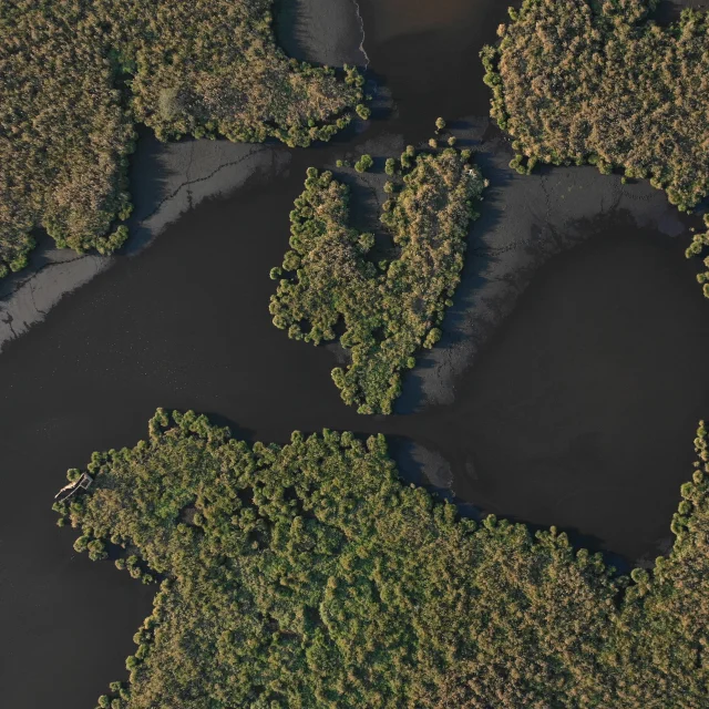 Vue aérienne des marais de Brière