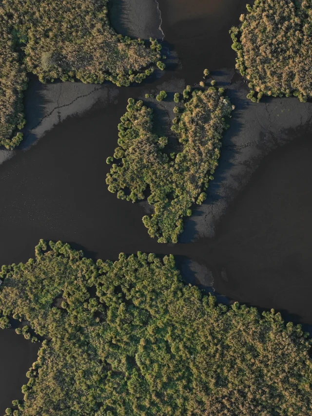 Vue aérienne des marais de Brière
