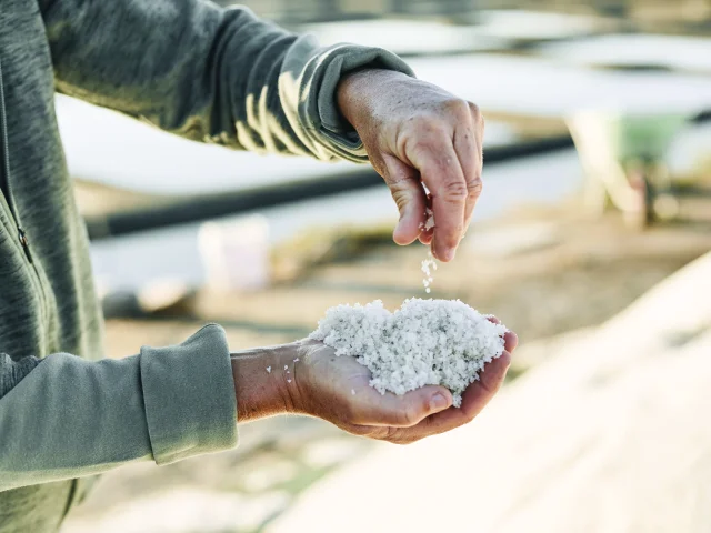 Marais salants de Guérande - Sel