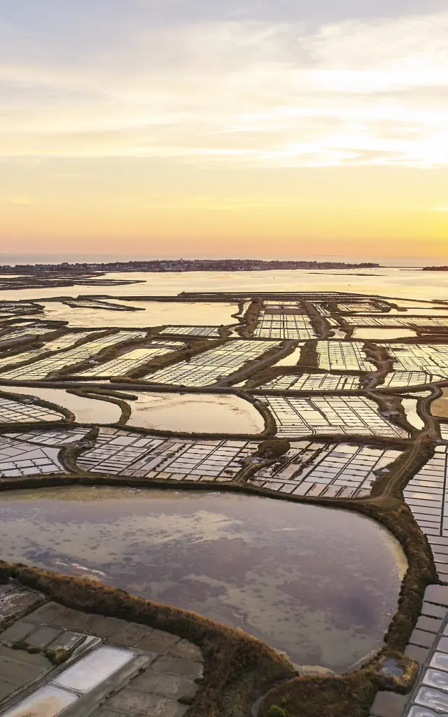Marais salants de Guérande - Coucher de soleil