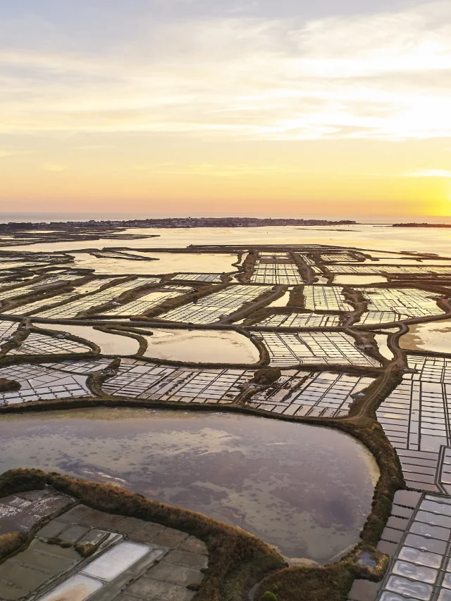 Marais salants de Guérande - Coucher de soleil