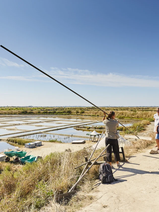 Marais salants de Guérande - Visite
