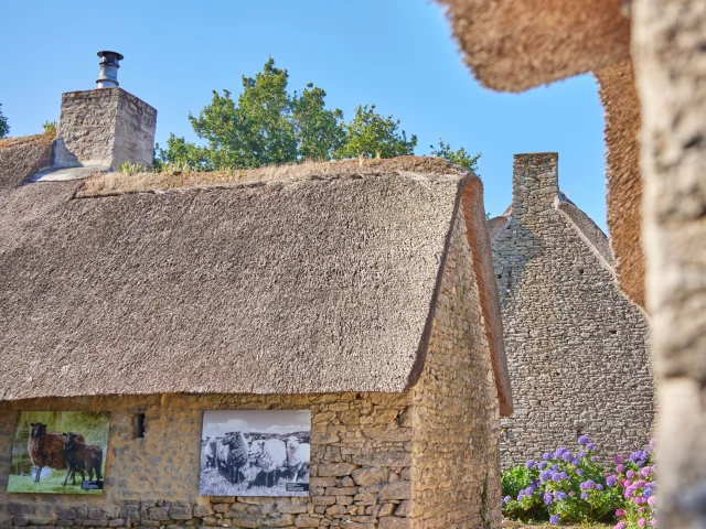 Toit de chaume, Kerhinet, Saint-Lyphard