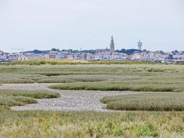 Vue depuis Pen-Bron vers Le Croisic