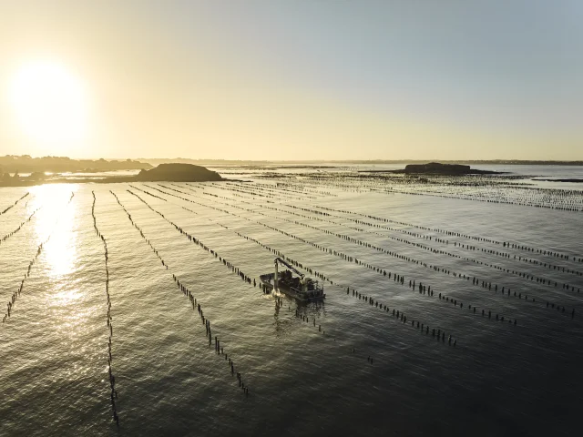 Pénestin - Pointe du Bile