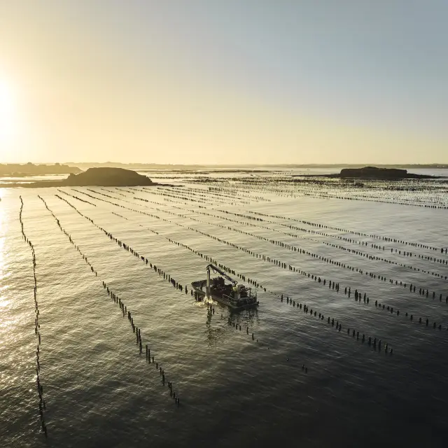 Pénestin - Pointe du Bile