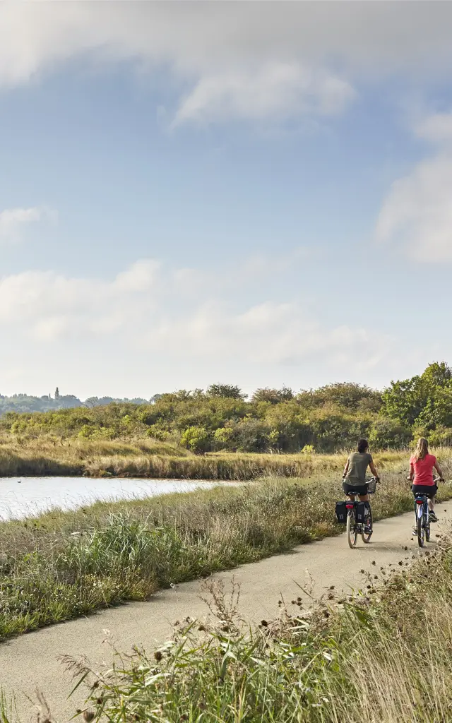 Vélocéan dans les marais du Mès - Saint-Molf