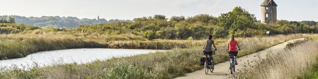 Vélocéan dans les marais du Mès - Saint-Molf