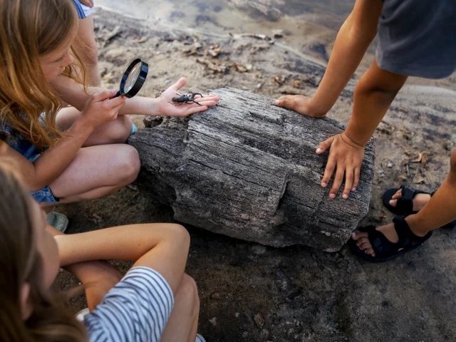 Groupes scolaires sorties natures La Baule Presqu'île de Guérande