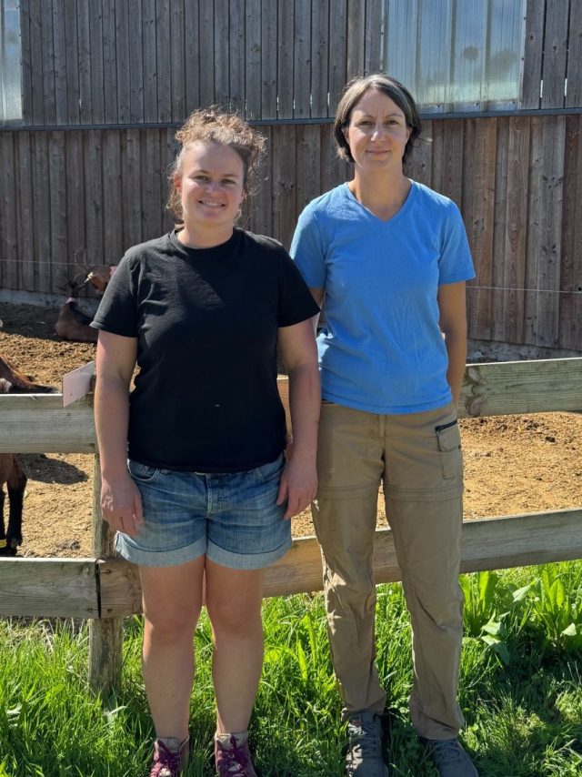 Les Chèvres du Bois Nozay - Saint-Lyphard