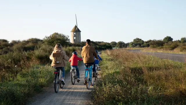 Saint-Molf - Vélos dans les marais salants