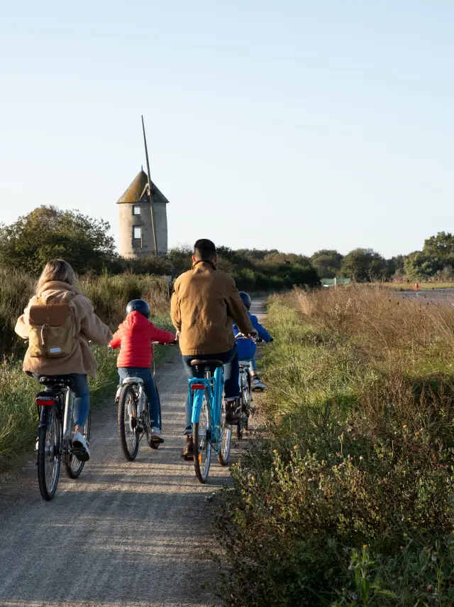 Saint-Molf - Vélos dans les marais salants