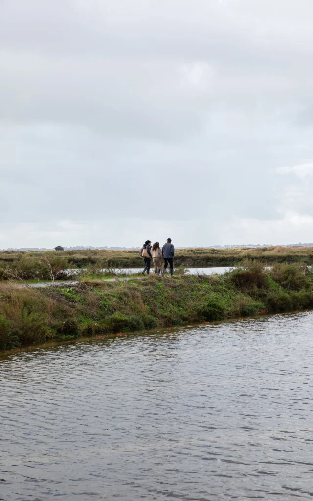 Guérande - Marais Salants