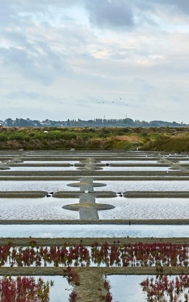 Our commitments, Tourist Office - La Baule-Presqu'île de Guérande